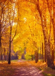 5 Ways to Conquer Autumn Anxiety – 10/16/19